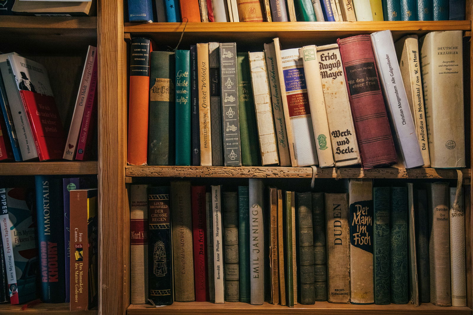 Colorful vintage books arranged on wooden shelves in a cozy library setting.
