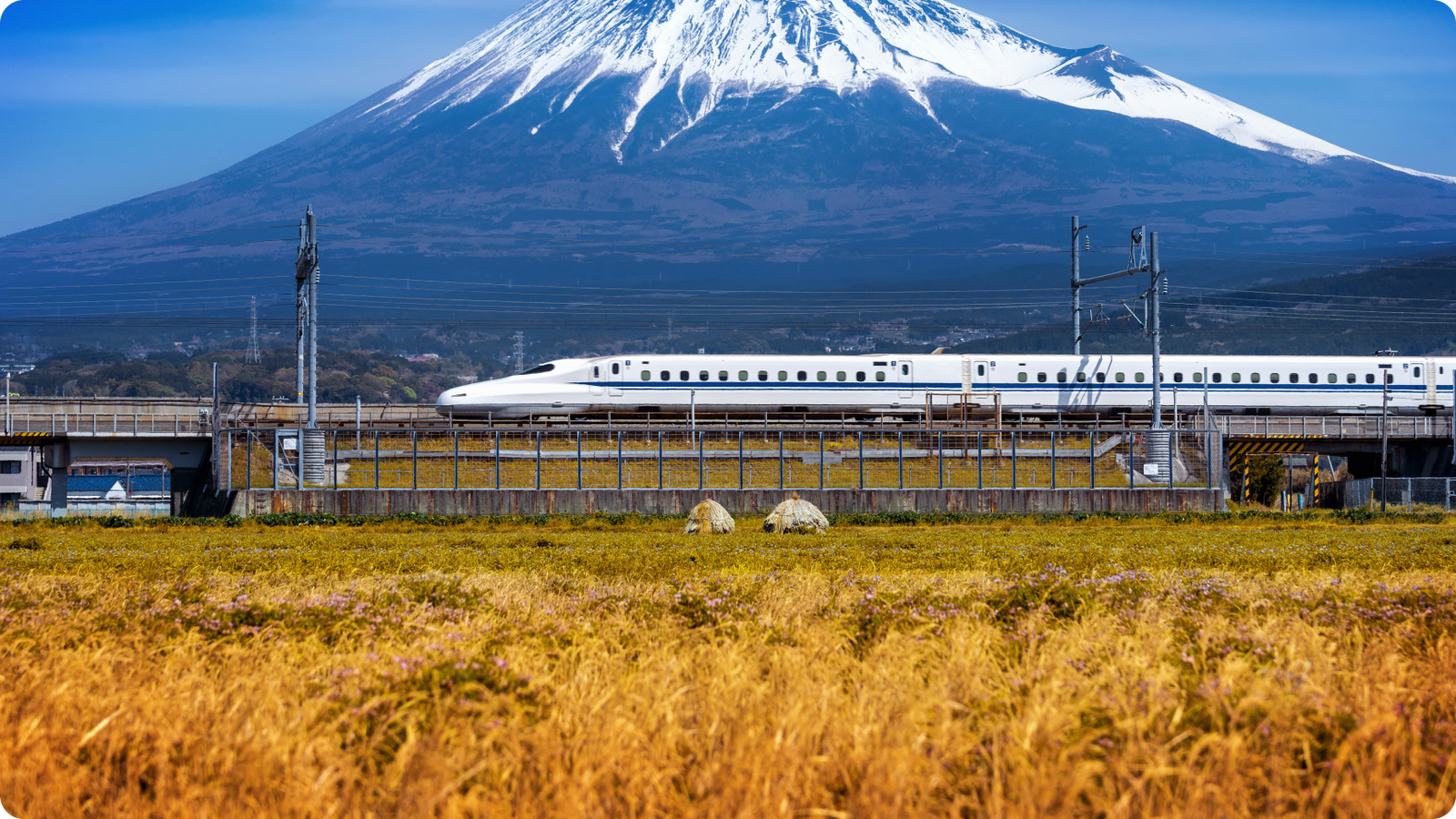 Shinkansen train passing fields with Mount Fuji in the background under a clear blue sky.