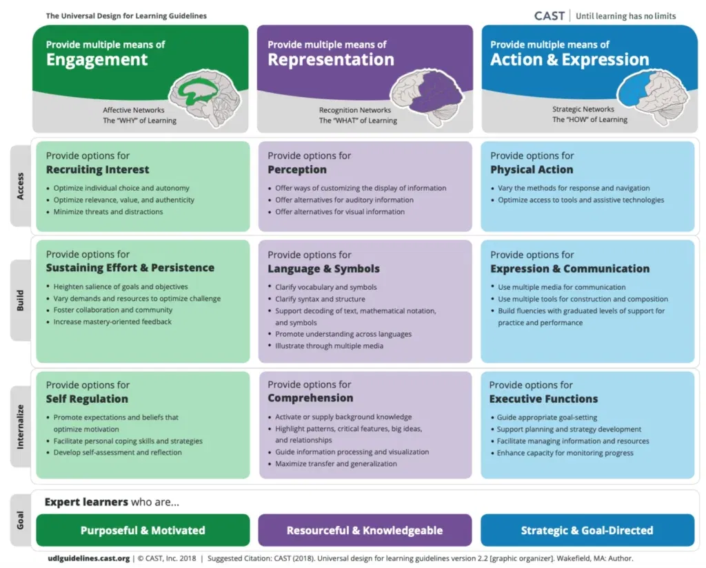 Universal design for learning - 3 UDL principles scheme