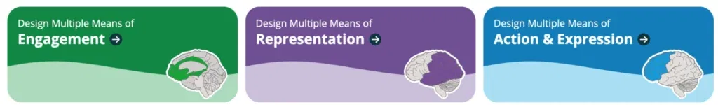 Advancing Learner Agency Through Partnership: CAST and ReadSpeaker – Graphic showing the three UDL principles: Design Multiple Means of Engagement (green with brain illustration), Representation (purple with brain illustration), and Action & Expression (blue with brain illustration).